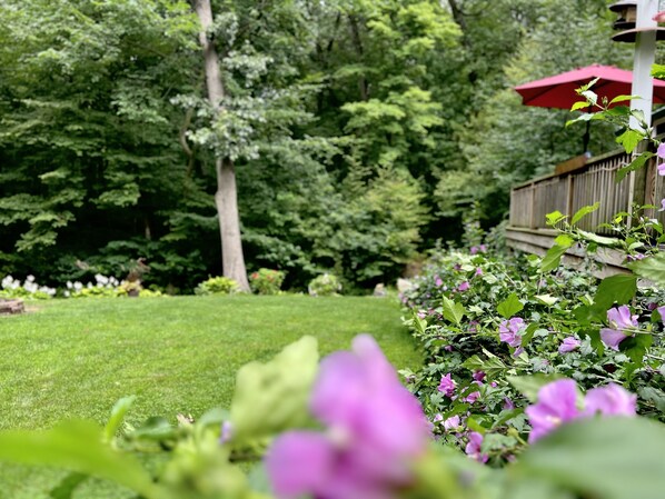 Overnattingsstedets uteområder