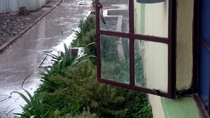 Un callejón estrecho y húmedo con una cerca de metal corrugado a un lado y una ventana con marco rojo al otro.