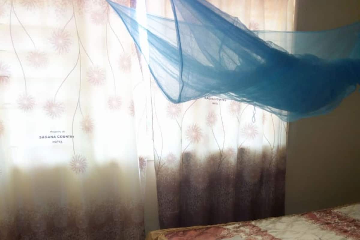 Un dormitorio con cama, cortinas y mosquitero.