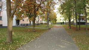 A pathway lined with trees displaying autumn foliage, leading to a building with a light-colored facade. - Apartment Jungle Adventure (Günzburg)