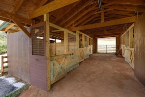 Property grounds - Serenity Lodge and Stable by Escape to Blue Ridge (Ellijay)