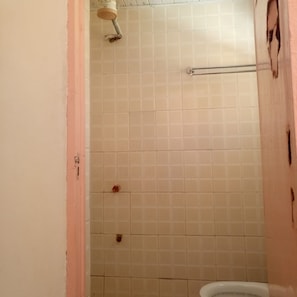 Single Room | Bathroom | Shower, towels, soap, toilet paper