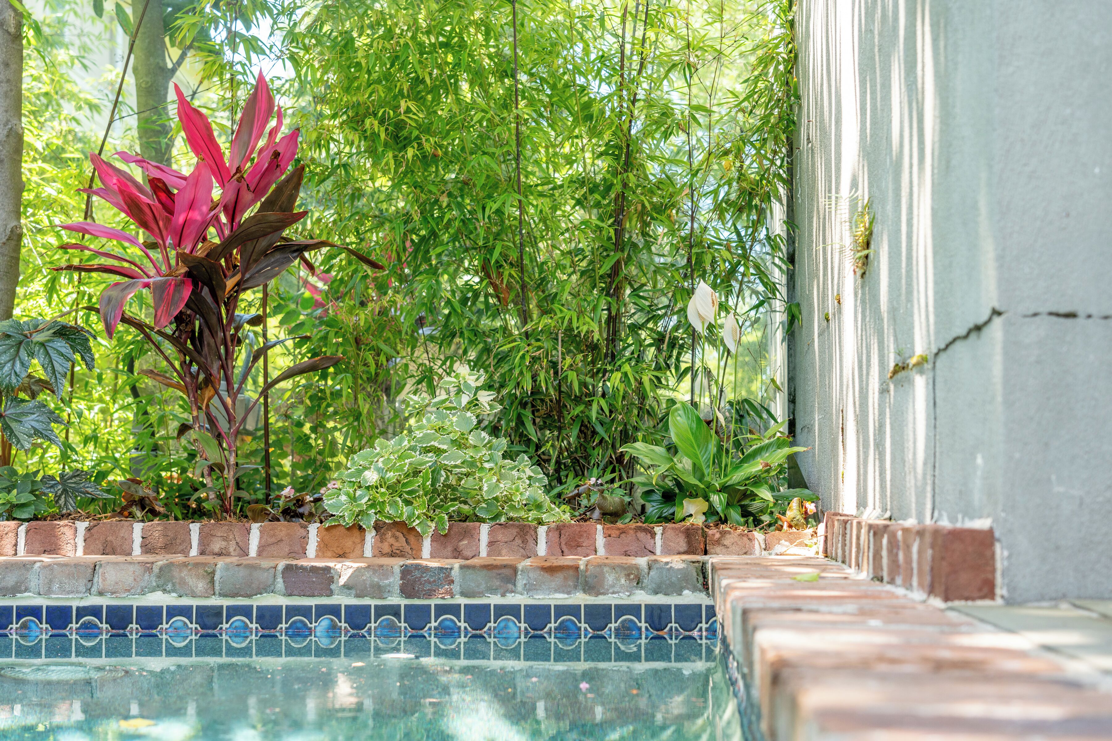 Una piscina con borde de azulejos, rodeada de abundante vegetación y un borde de ladrillo.