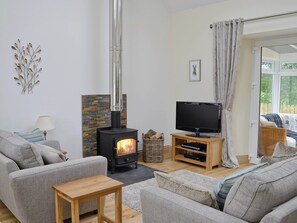 Fireplace - 1 bedroom accommodation in Borgue, near Kirkcudbright (Borgue, near Kirkcudbright)