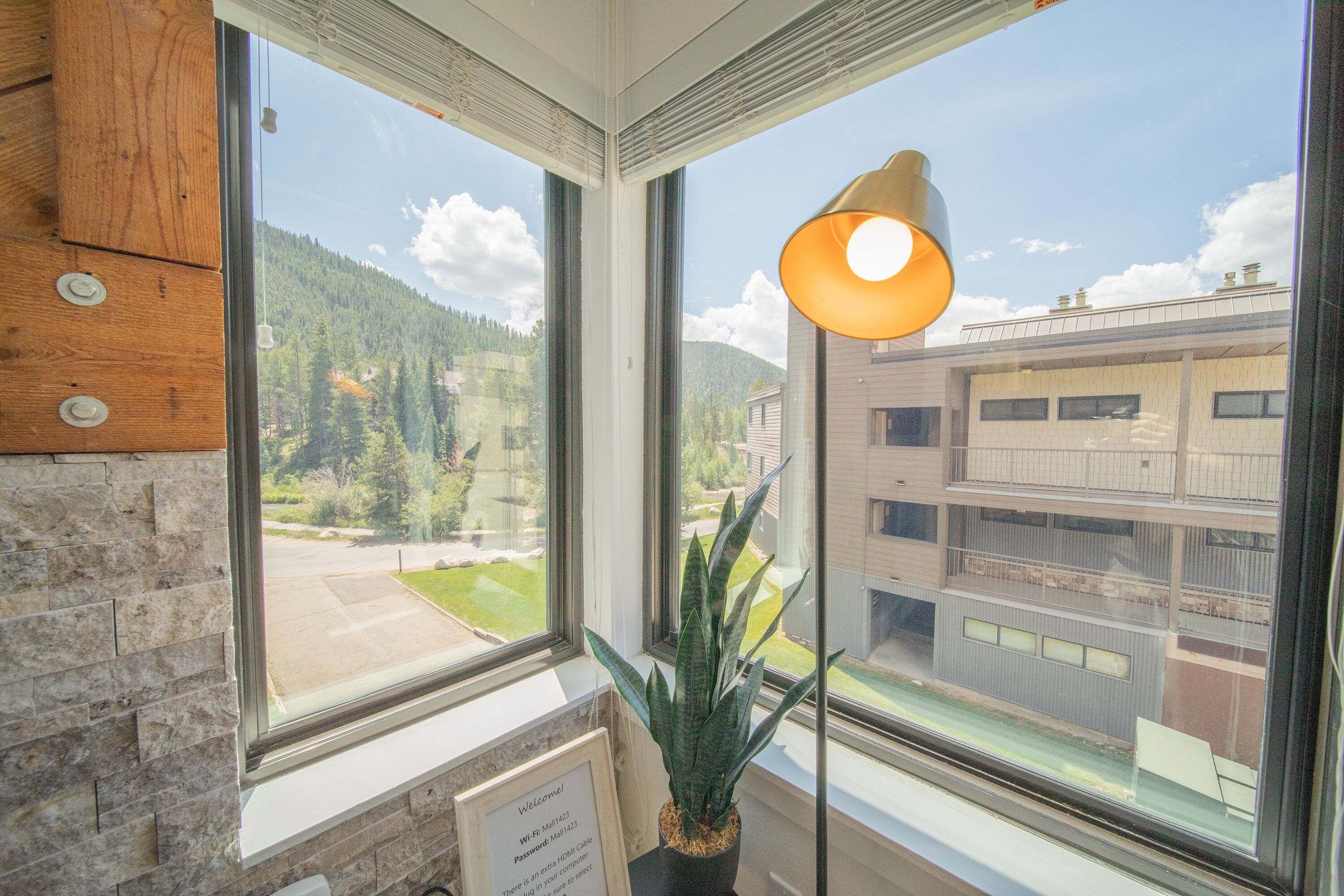 Habitació amb finestres grans, una planta en test i un rètol amb informació sobre Wi-Fi i contrasenya.