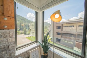 Condo Deluxe, 1 habitación, chimenea, junto al lago (Mall 1423) | Vista desde la habitación