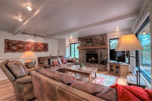 Smart TV, fireplace, DVD player, books