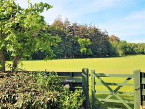 Imagen sin descripción, 2 de 8, botón