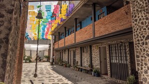 Un estrecho callejón con un edificio de ladrillo, plantas en macetas y adornos colgantes.