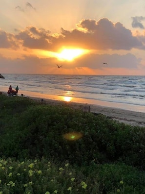 Ein Strandbild mit untergehender Sonne über dem Meer, einer Holzlattenveranda und etwas Grün im Vordergrund.