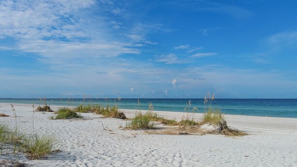A beach with white sand and sparse vegetation. - Poolside Patio | Walk to Beach (St. Pete Beach)