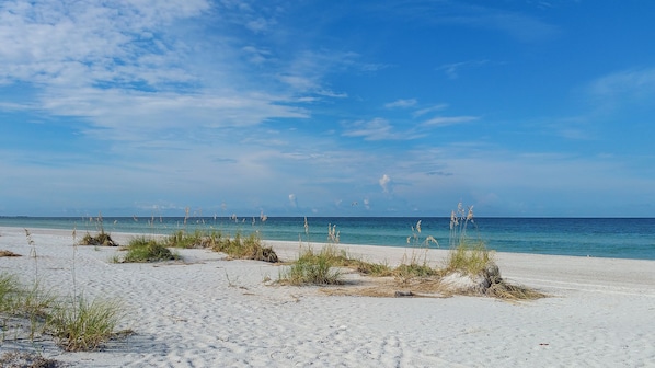 Playa en los alrededores