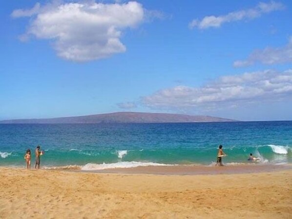 Una playa cerca