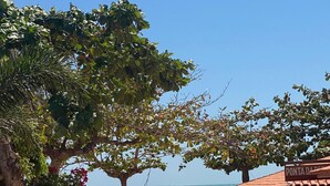 A beach scene with a wooden structure labeled "PONTADA PERA" and a tree providing shade. - Pousada Isabel (Jijoca de Jericoacoara)