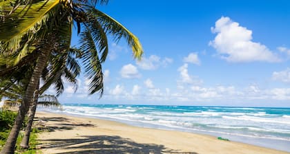 Beautiful Private 10 Bedroom Beachfront Villa with hotel amenities