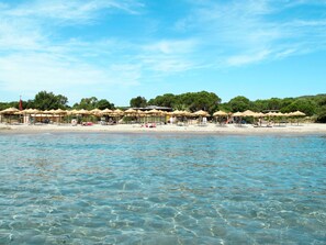 Lettini da mare