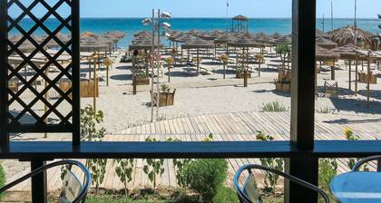 Lovely apartment for 6 guests with A/C, terrace and pets allowed
