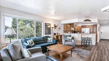 Televisión, chimenea, reproductor de DVD y libros