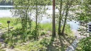 A lakeside path with trees and a wooden dock.