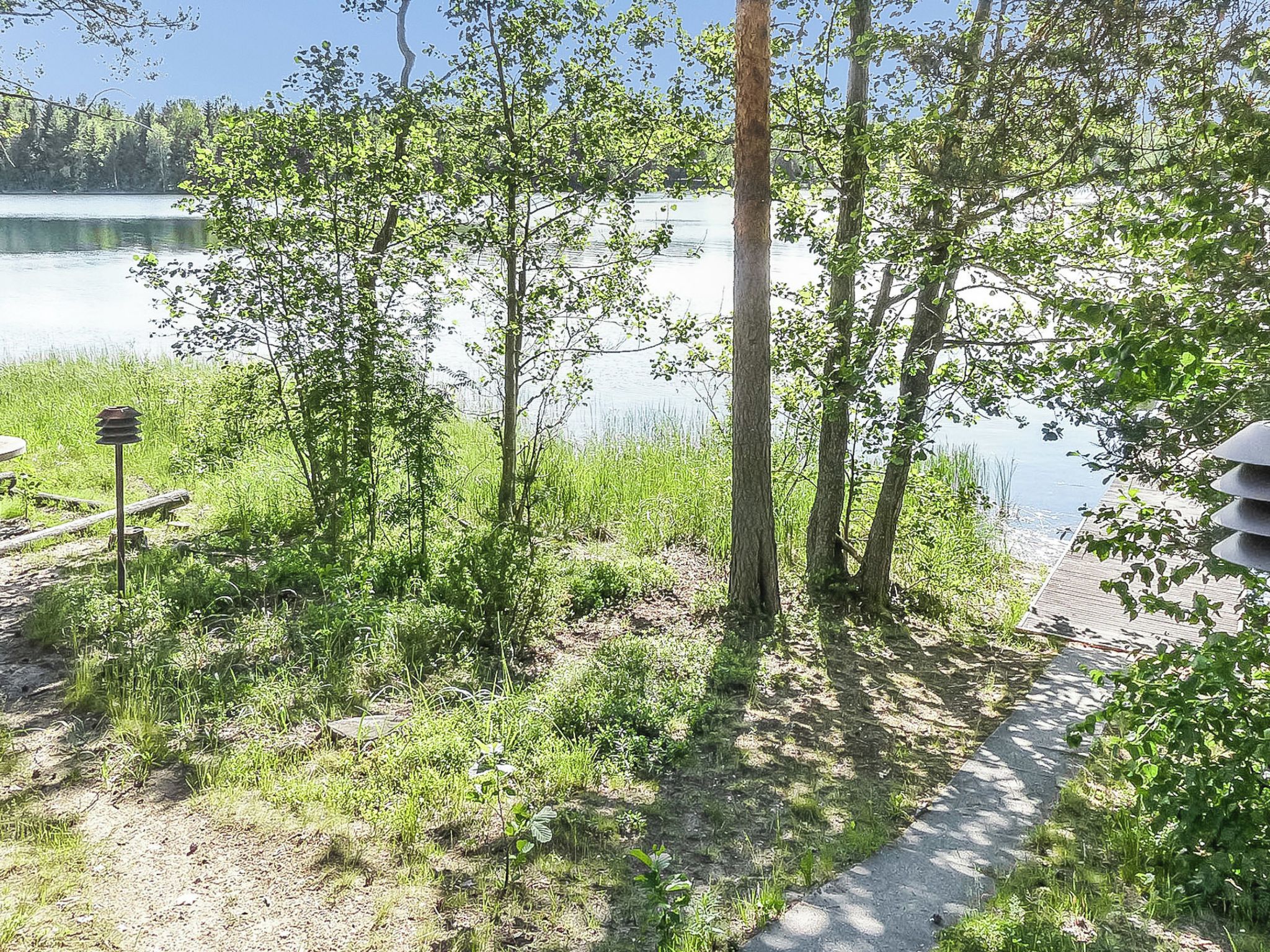 Un sendero junto al lago, con árboles y un muelle de madera que se adentra en el agua.