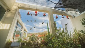 A covered outdoor area with hanging lanterns, potted plants, and a view of the sky and distant landscape. - Casa Santa Fe, Guanajuato (Guanajuato)