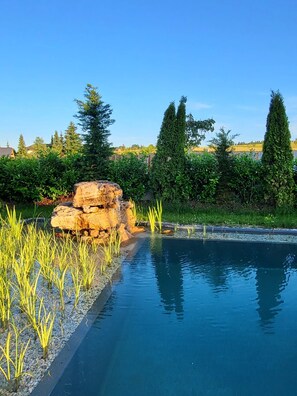 A swimming pool with a rock formation and tall grass in the foreground, surrounded by trees and a clear sky.