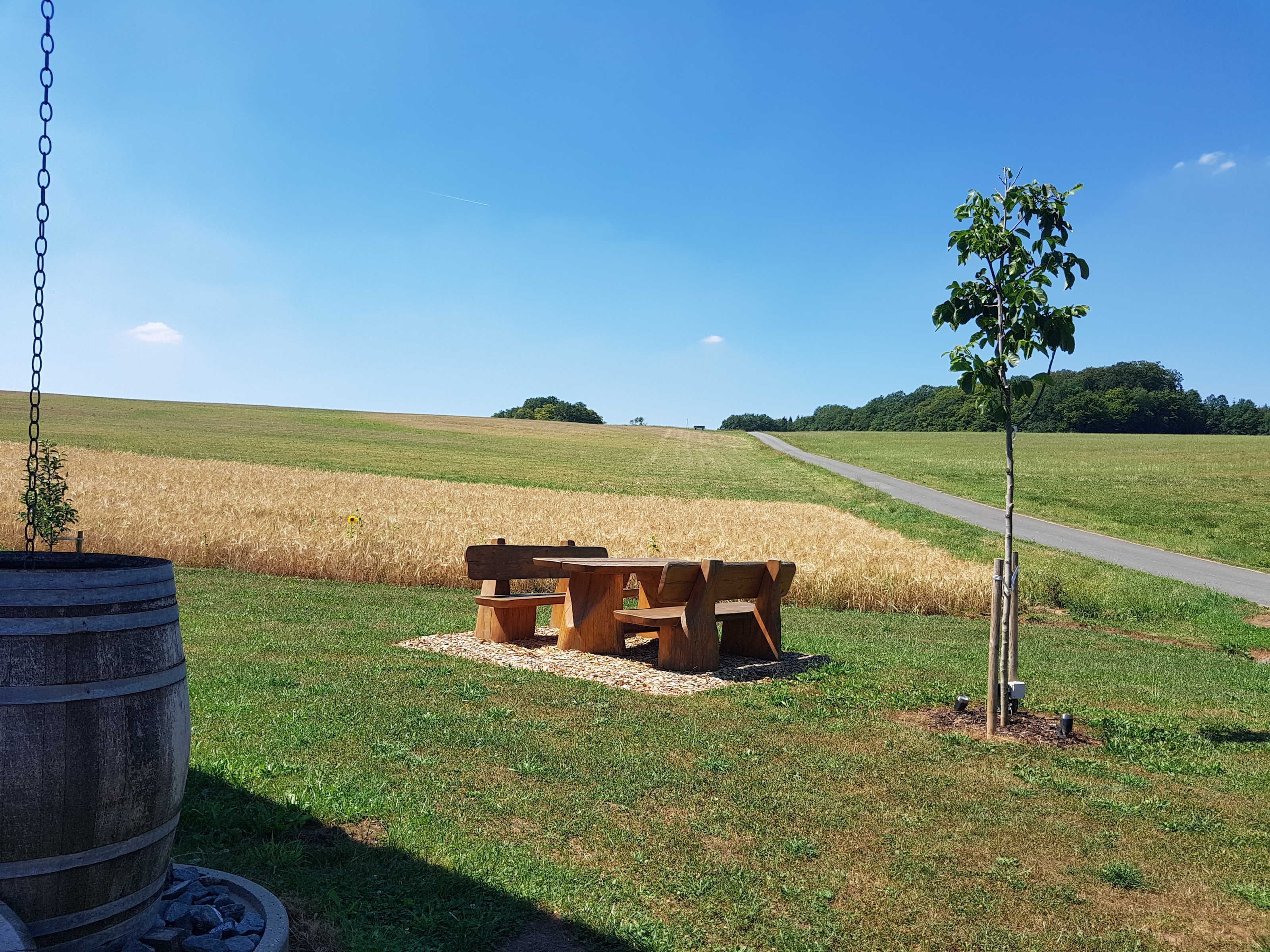 Une table de pique-nique et un petit arbre se dressent dans un champ verdoyant, sous un ciel dégagé.