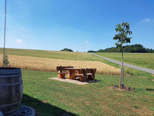 Una mesa de picnic y un pequeño árbol en un campo cubierto de césped, con cielo despejado.