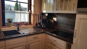 Fridge, microwave, oven, coffee/tea maker