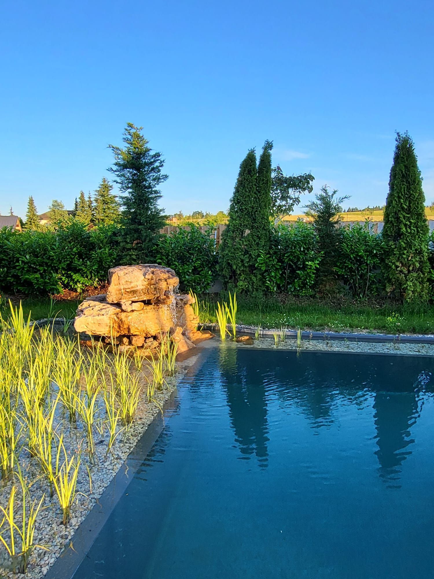 Ein Schwimmbecken mit einer Felsformation und hohem Gras im Vordergrund, umgeben von Bäumen und blauem Himmel.
