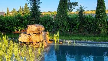 Ein Schwimmbecken mit einer Felsformation und hohem Gras im Vordergrund, umgeben von Bäumen und blauem Himmel.