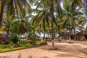 Jardín