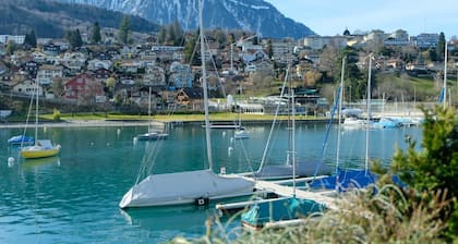 Seewohnung 2 by Interhome