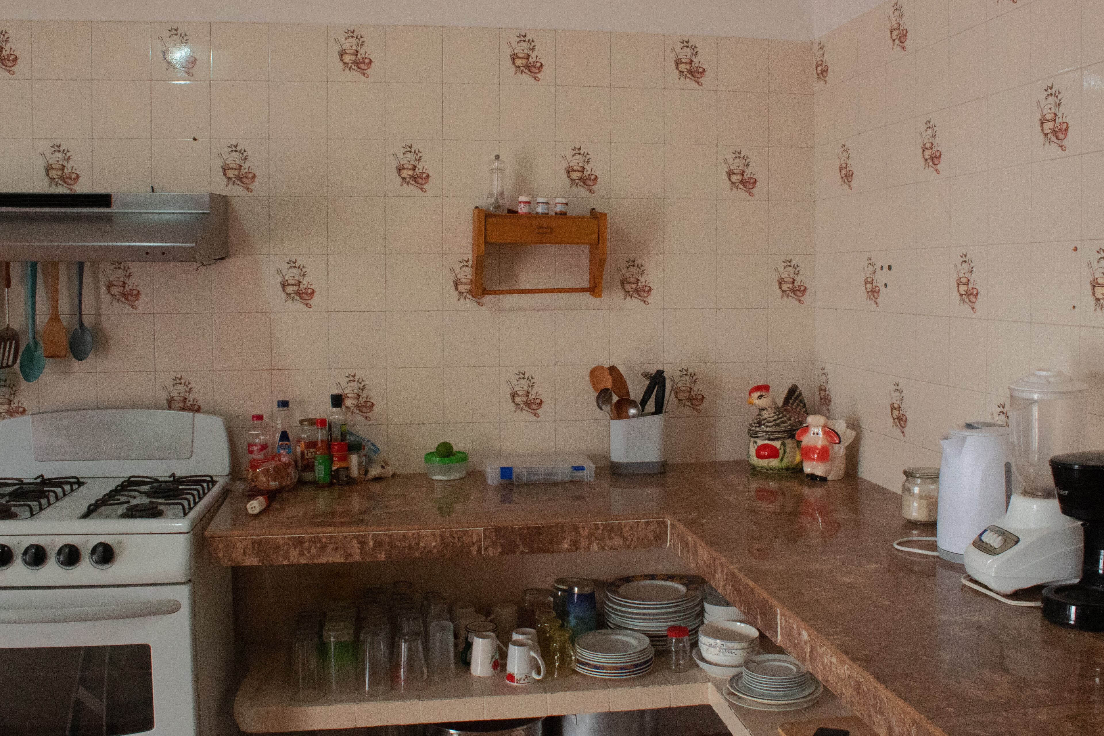 standard room | shared kitchen | fridge, blender, cookware/dishes/utensils, freezer