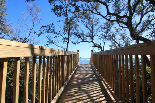A wooden boardwalk leading to a body of water, surrounded by trees.