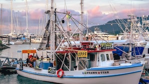 A boat named 'Prawn Star' docked at a marina with a sign advertising 'Fresh Seafood' and 'Prawns & Seafood Off the Trawler'. - Oaks Cairns Hotel (Cairns)