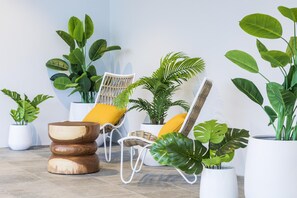 Una habitación con una silla de mimbre blanca, un taburete de madera y varias plantas en macetas.