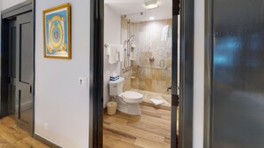 Bañera con ducha, secador de pelo