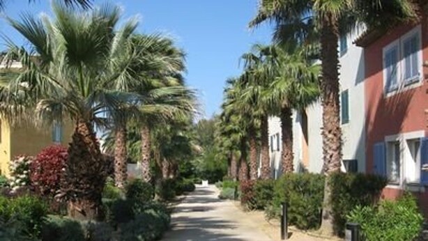 A pathway lined with palm trees and buildings, suggesting a resort or hotel setting. - 3-room apartment with large private garden, air conditioning and parking (Cavalaire-sur-Mer)