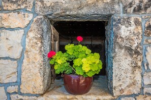 Una planta en maceta con flores rojas en un hueco de piedra.