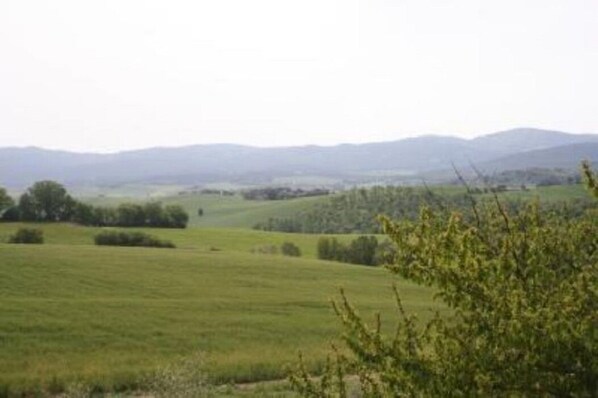 Vista panorámica de un paisaje rural con colinas ondulantes y árboles dispersos.