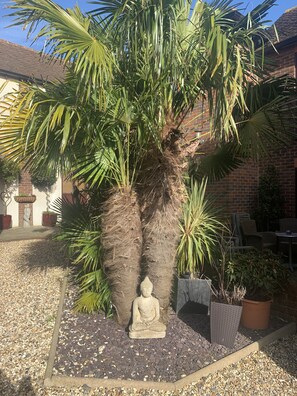 Une cour intérieure agrémentée d’un palmier, d’une statue de Bouddha et de plantes en pot.