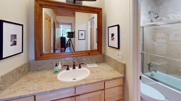 Combined shower/tub, hair dryer