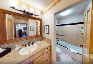 Combined shower/tub, hair dryer