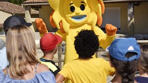Kinderbereich