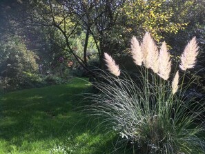 Ferienhaus | Blick von der Unterkunft