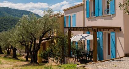 Provencal Cottage in the Olive Region of Nyons