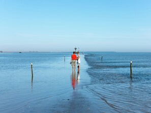 Exterior - Charming Stay by the Sea (Noirmoutier-en-l'Ile)