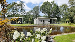Una casa moderna con uno stagno e cespi di ortensie bianche in primo piano.