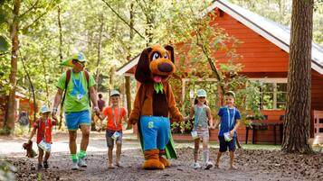 Bungalow | Property grounds